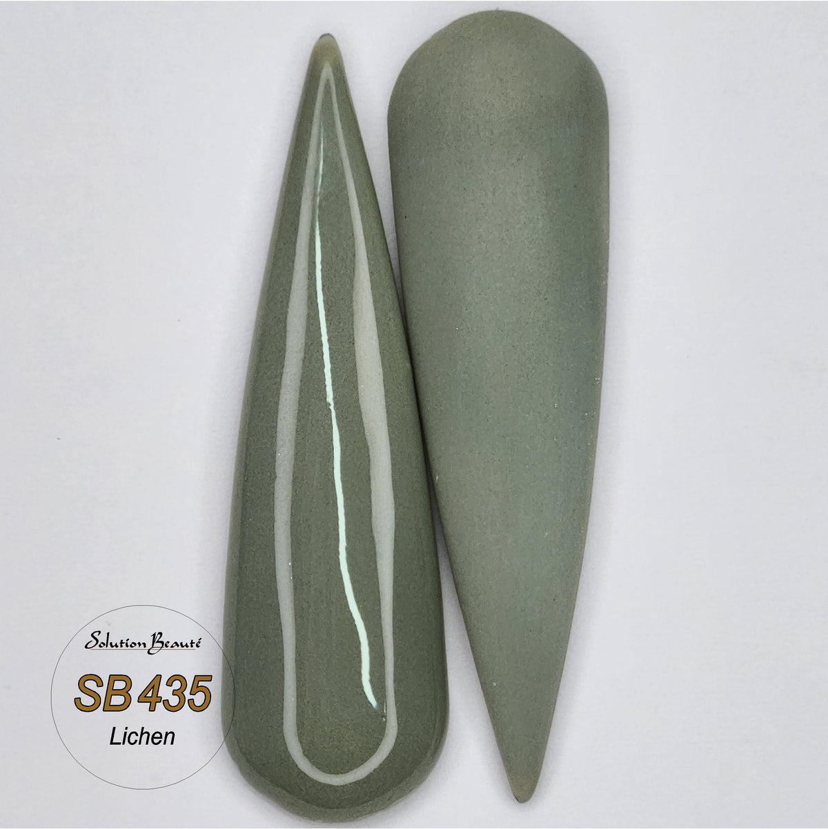 Poudre Solution Beauté #435 Lichen