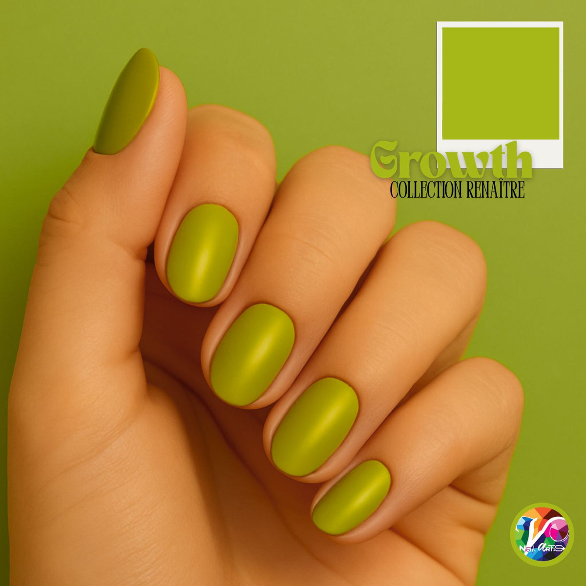 Poudre VD ARTISTIC #113 Growth