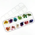 Déco Fleurs Séchées Mixtes 3
