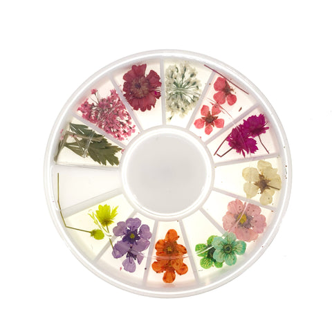 Déco Roulettes Fleurs Séchées Mixtes W75